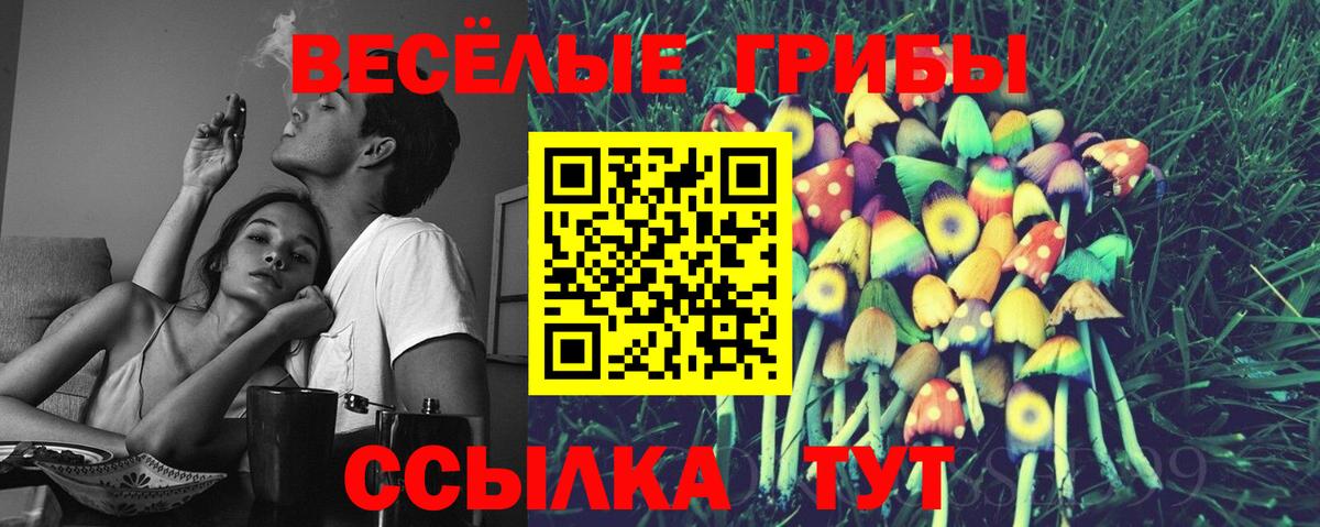 Норильск  Псилоцибиновые грибы Magic Shrooms  Вход с VPN 